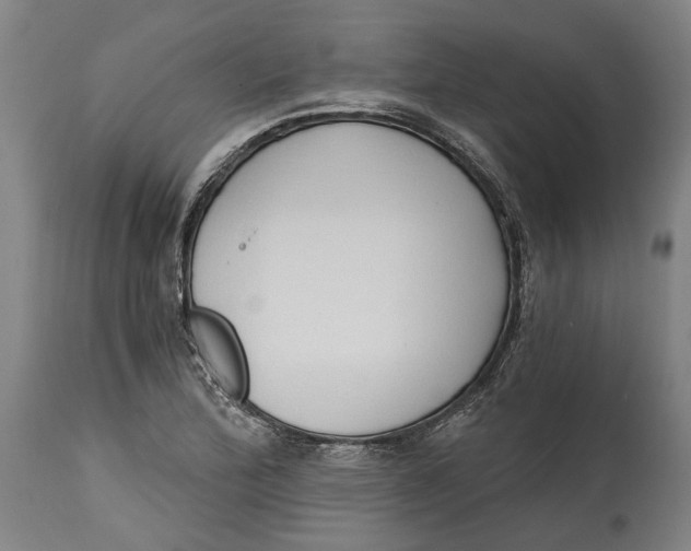 X0000114591172200911161324