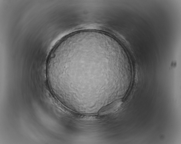 X0000114591174200911161324