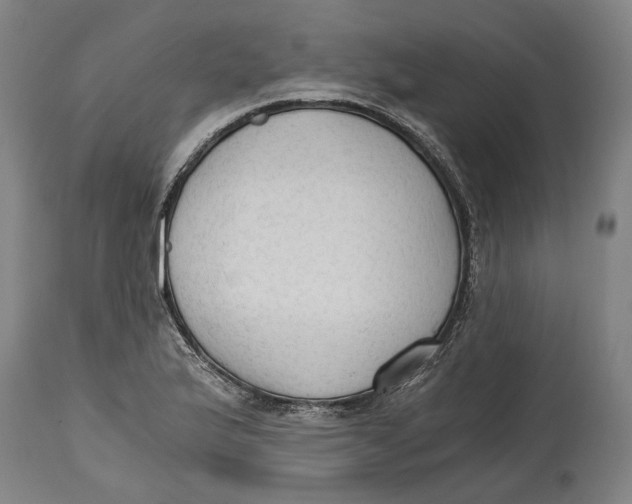 X0000114591175200911161324