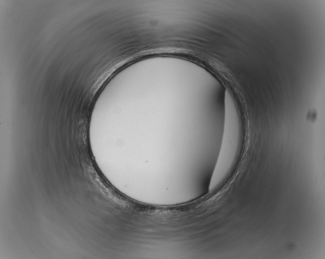 X0000114591177200911161324