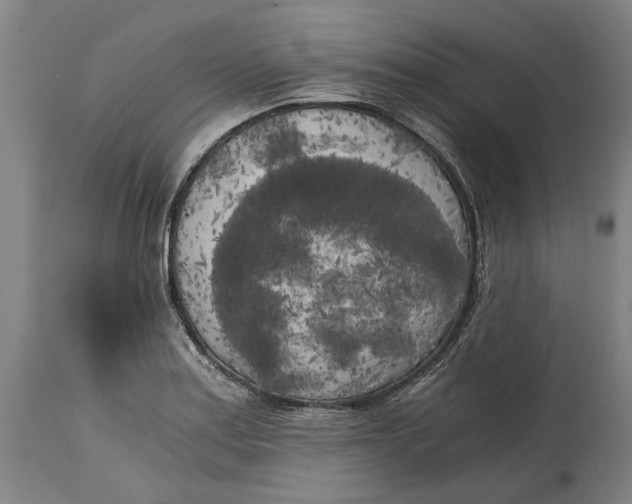 X0000114591179200911161324