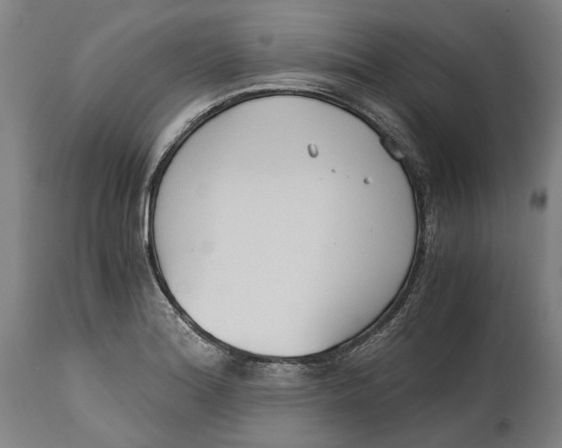 X0000114591180200911161324