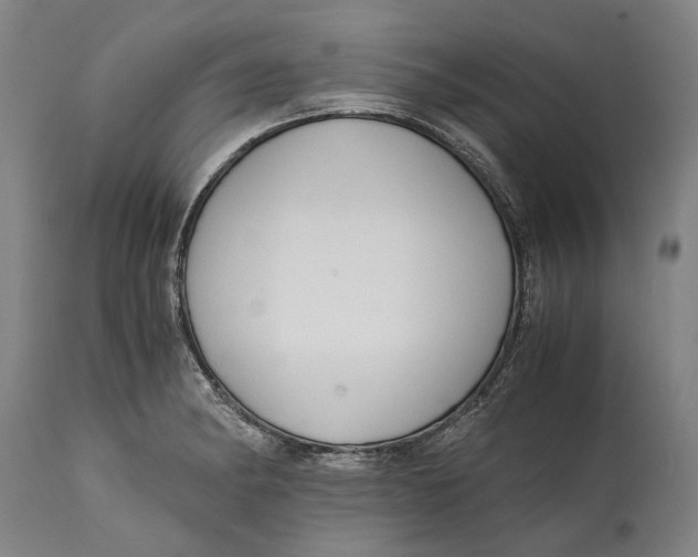 X0000114591182200911161324