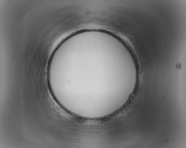 X0000114591183200911161324