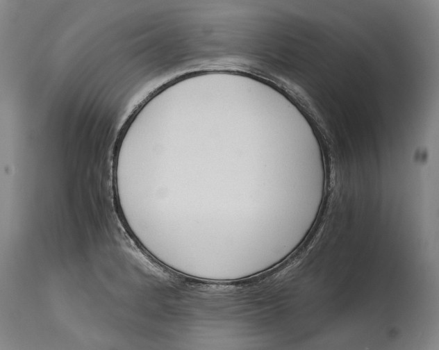 X0000114591184200911161324