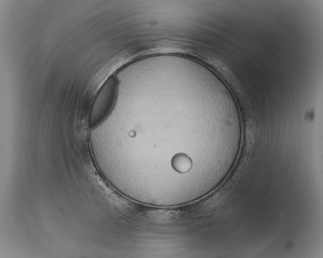 X0000114591185200911161324