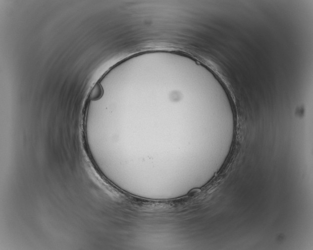 X0000114591187200911161324