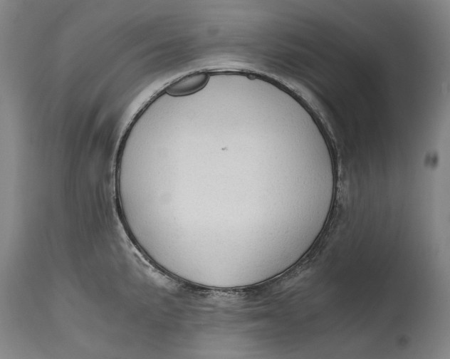 X0000114591191200911161324