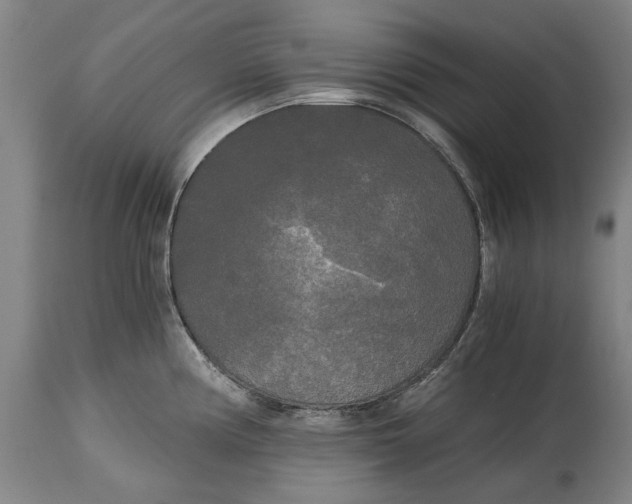 X0000114591194200911161324