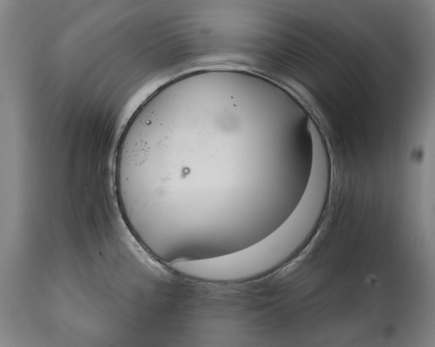 X0000114591196200911161324