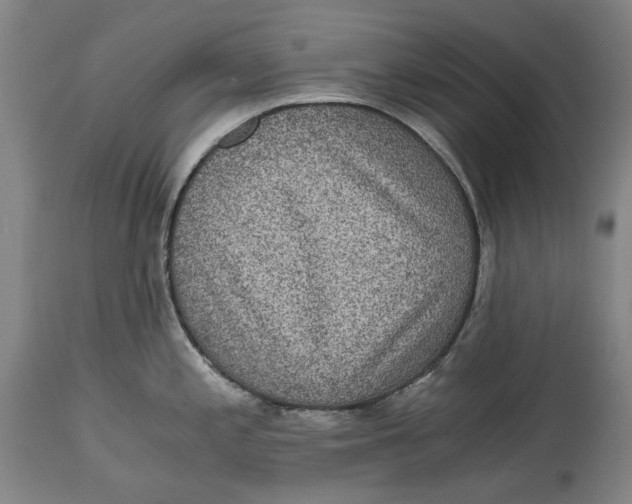 X0000114591197200911161324