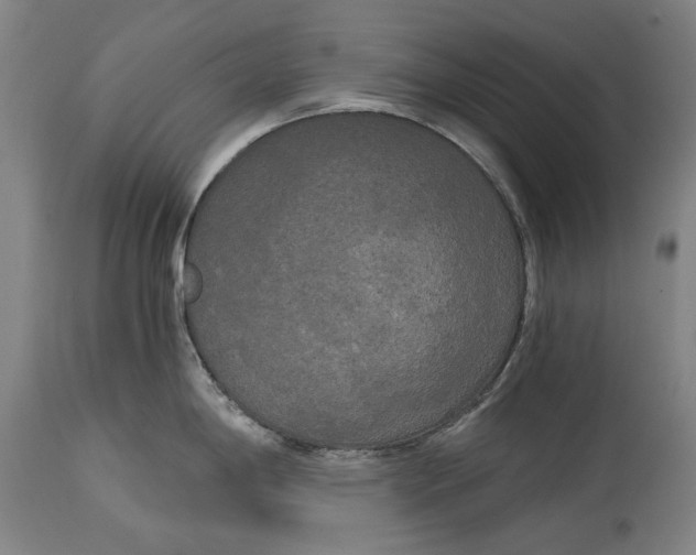 X0000114591198200911161324