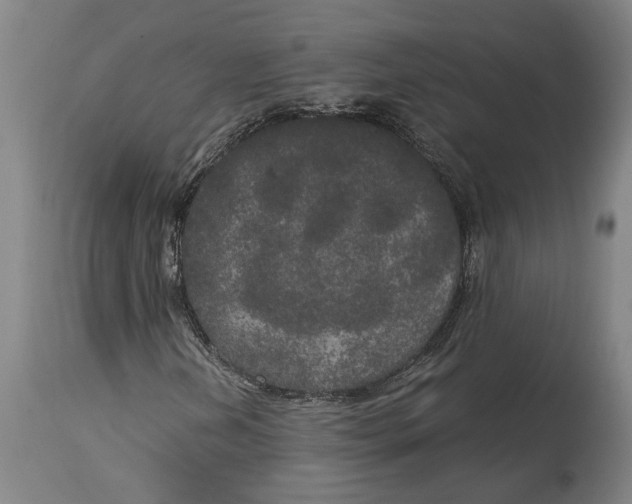 X0000114591202200911161323