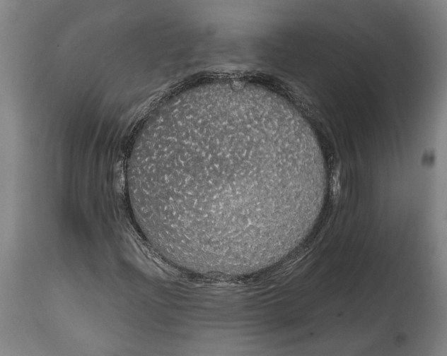 X0000114591204200911161323