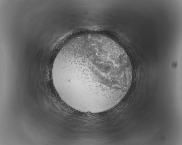 X0000114591205200911161323