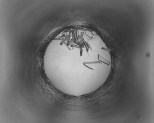 X0000114591206200911161323