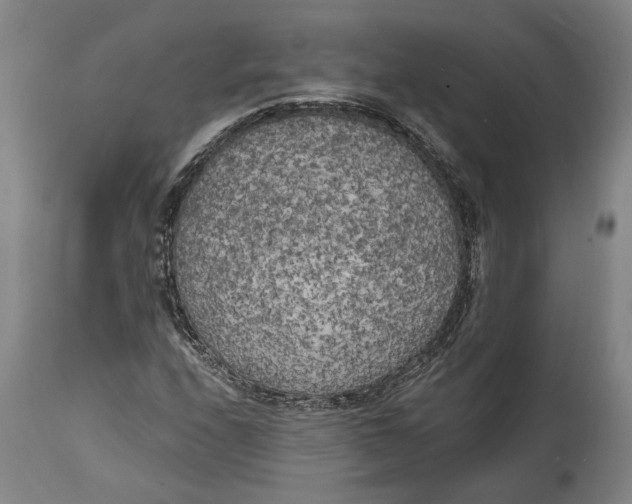 X0000114591208200911161323