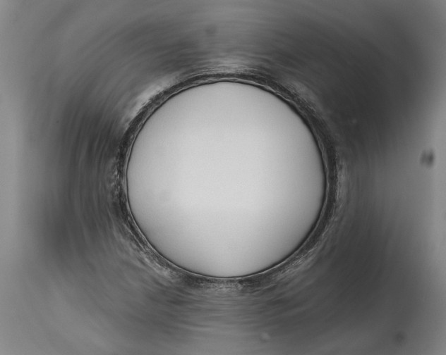 X0000114591210200911161323