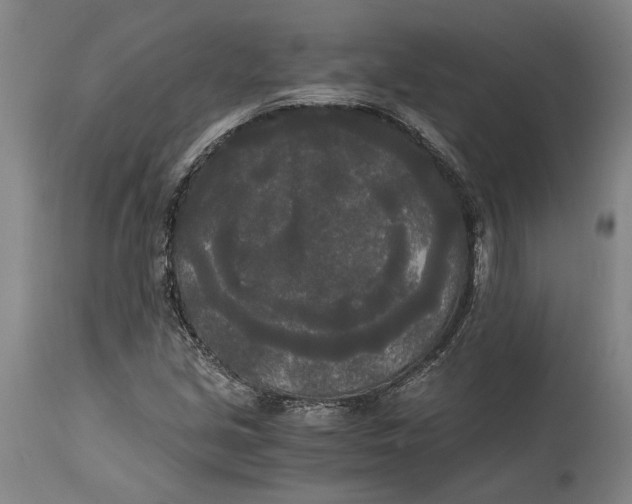 X0000114591213200911161323