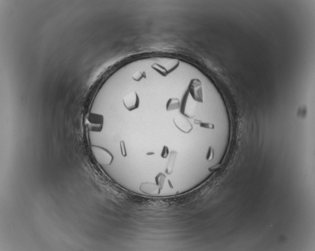 X0000114591214200911161323