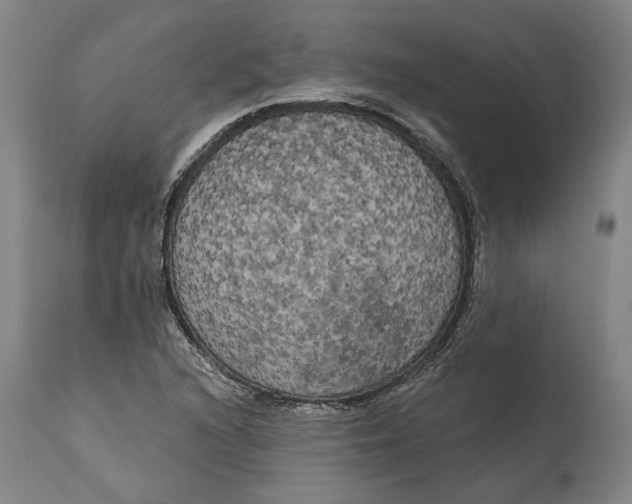 X0000114591216200911161323