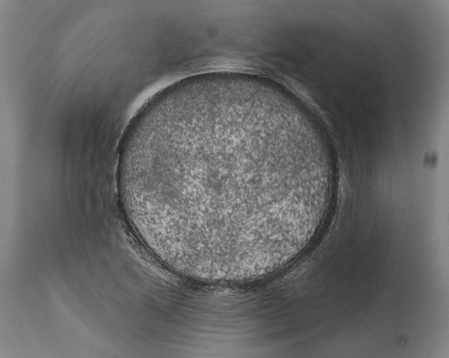 X0000114591222200911161324