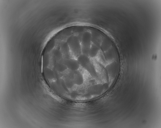 X0000114591223200911161324