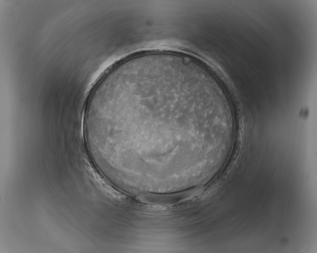 X0000114591224200911161324