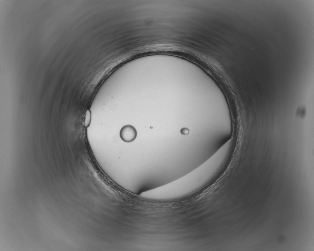 X0000114591225200911161324