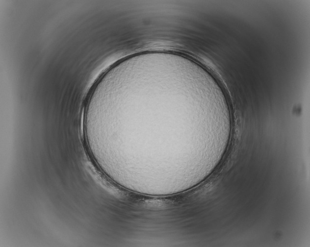 X0000114591227200911161324