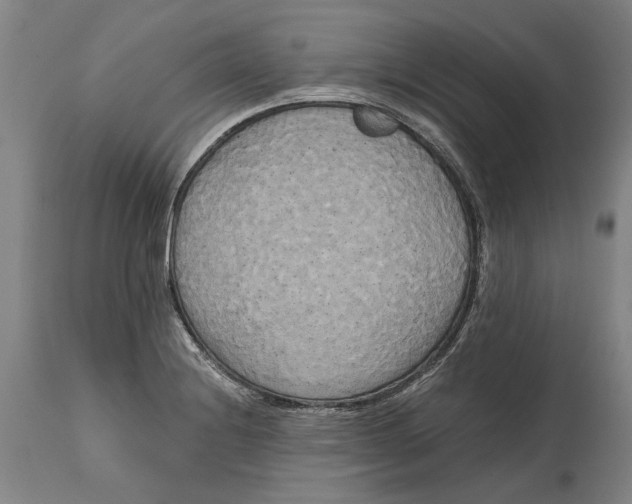 X0000114591228200911161324