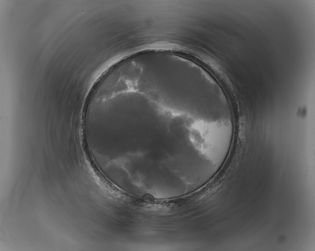 X0000114591229200911161324