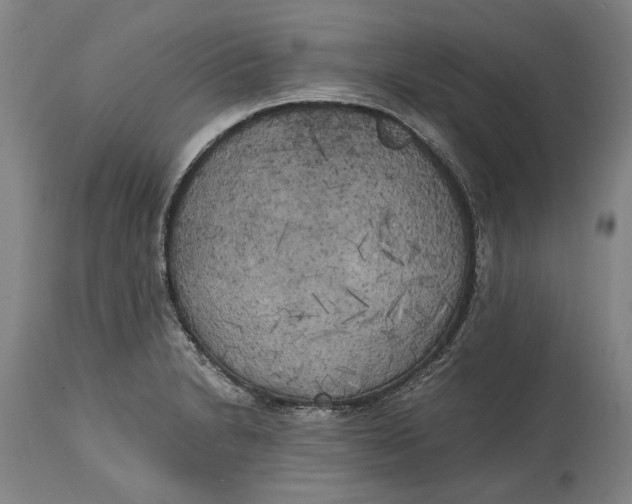 X0000114591230200911161324