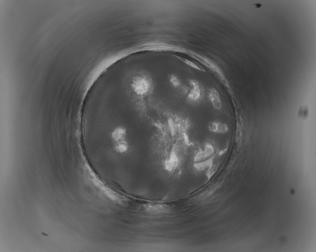 X0000114591231200911161324