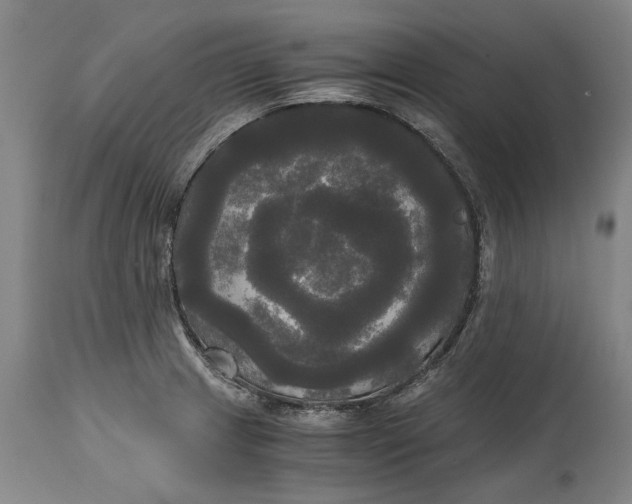 X0000114591233200911161324