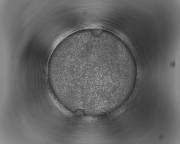 X0000114591234200911161324