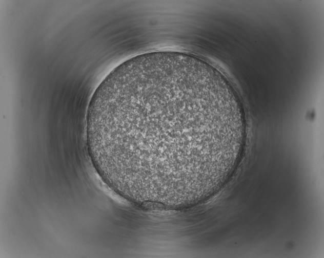 X0000114591236200911161324