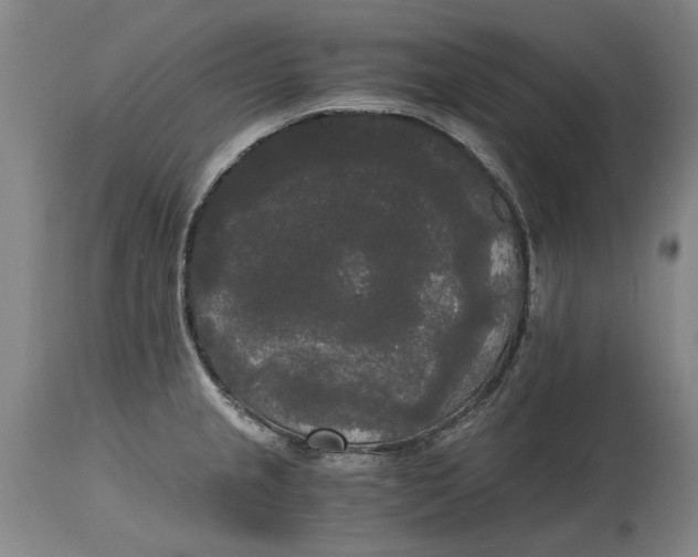 X0000114591237200911161324