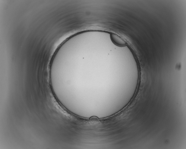 X0000114591238200911161324