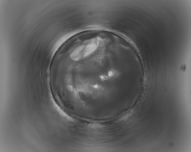 X0000114591239200911161324