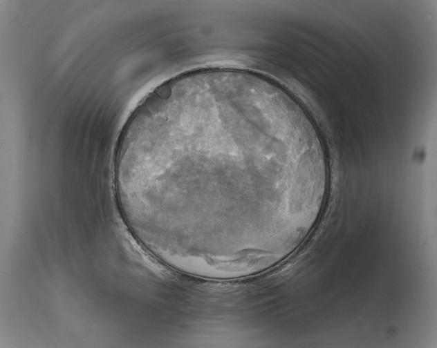 X0000114591240200911161324