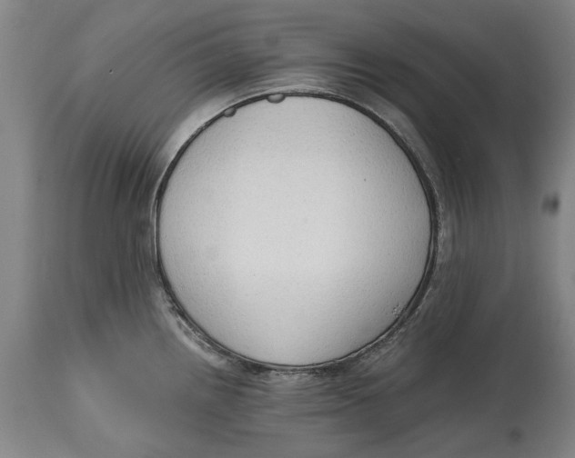 X0000114591242200911161324