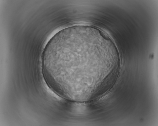 X0000114591243200911161324