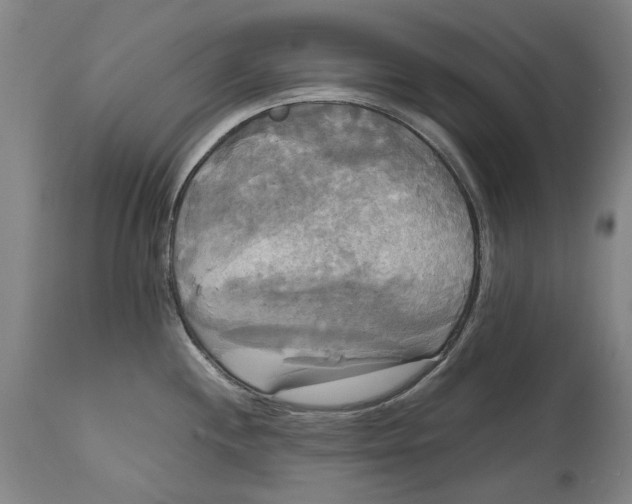 X0000114591244200911161324