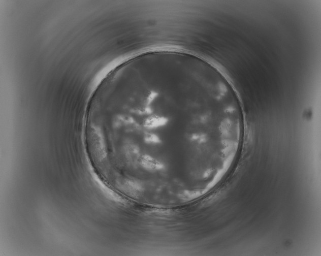 X0000114591245200911161324