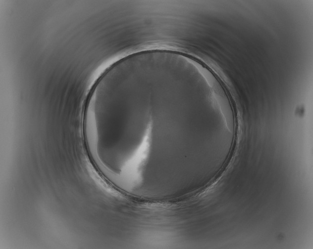 X0000114591246200911161324