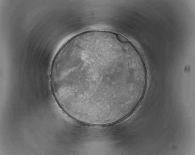 X0000114591248200911161324