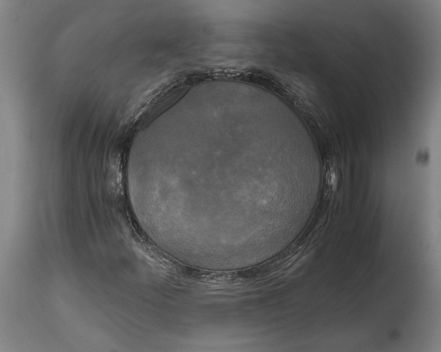 X0000114591252200911161323