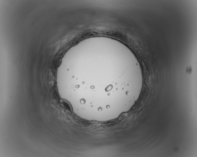 X0000114591253200911161323