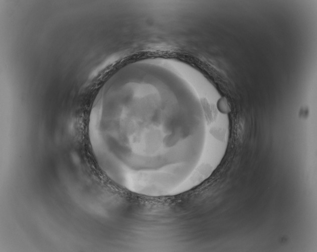 X0000114591254200911161323